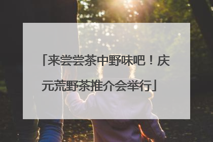 来尝尝茶中野味吧！庆元荒野茶推介会举行