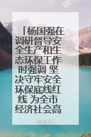 杨国强在调研督导安全生产和生态环保工作时强调 坚决守牢安全环保底线红线 为全市经济社会高质量发展提供坚强保障