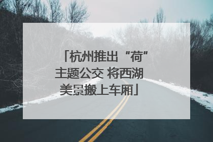 杭州推出“荷”主题公交 将西湖美景搬上车厢