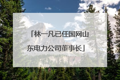 林一凡已任国网山东电力公司董事长