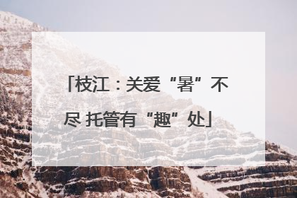 枝江：关爱“暑”不尽 托管有“趣”处