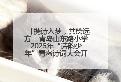 携诗入梦，共绘远方—青岛山东路小学2025年“诗韵少年”青岛诗词大会开幕畅游诗词之海