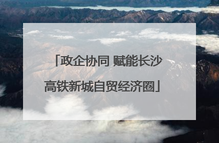 政企协同 赋能长沙高铁新城自贸经济圈