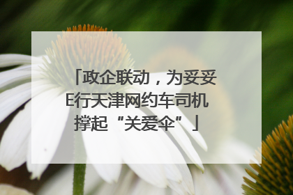 政企联动，为妥妥E行天津网约车司机撑起“关爱伞”