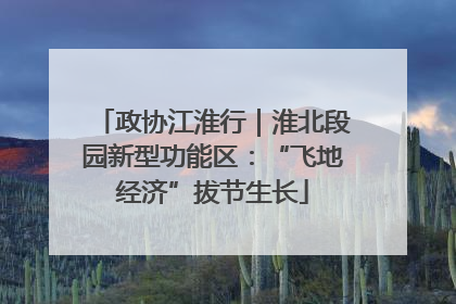 政协江淮行｜淮北段园新型功能区：“飞地经济”拔节生长