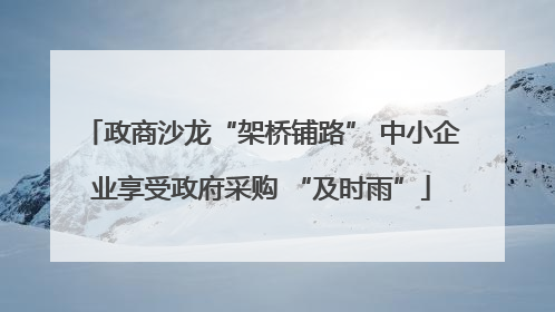 政商沙龙“架桥铺路” 中小企业享受政府采购 “及时雨”