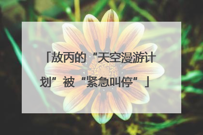 敖丙的“天空漫游计划”被“紧急叫停”