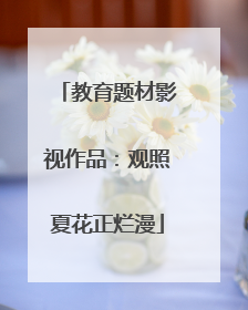 教育题材影视作品：观照夏花正烂漫