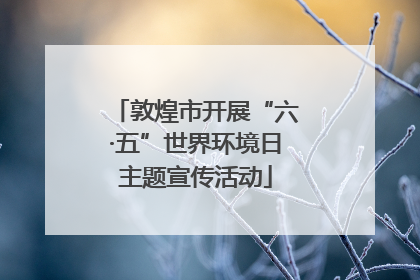敦煌市开展“六·五”世界环境日主题宣传活动