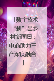 数字技术“耕”出乡村新图景：电商助力三产深度融合