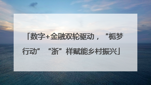 数字+金融双轮驱动，“栀梦行动”“浙”样赋能乡村振兴