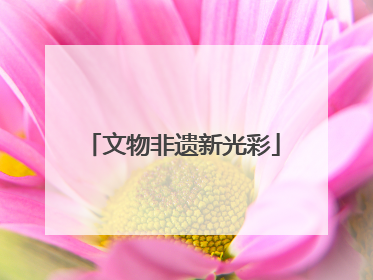 文物非遗新光彩