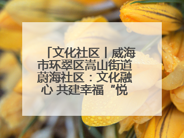 文化社区丨威海市环翠区嵩山街道蔚海社区：文化融心 共建幸福“悦龄蔚海”