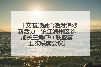 文商旅融合激发消费新活力！镇江润州区参加长三角C9+联盟第五次联席会议