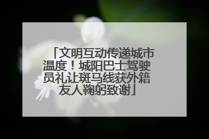 文明互动传递城市温度！城阳巴士驾驶员礼让斑马线获外籍友人鞠躬致谢