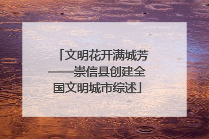 文明花开满城芳——崇信县创建全国文明城市综述