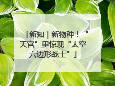 新知｜新物种！“天宫”里惊现“太空六边形战士”