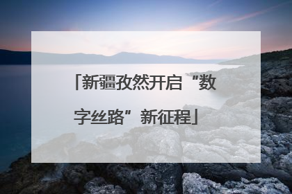 新疆孜然开启“数字丝路”新征程
