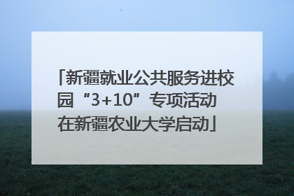 新疆就业公共服务进校园“3+10”专项活动在新疆农业大学启动