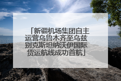 新疆机场集团自主运营乌鲁木齐至乌兹别克斯坦纳沃伊国际货运航线成功首航