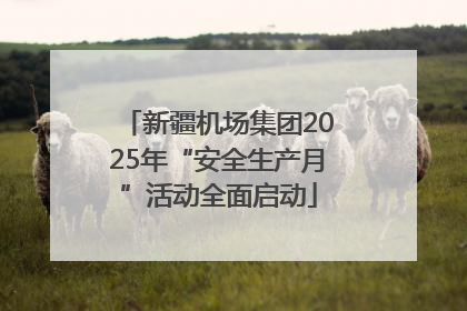 新疆机场集团2025年“安全生产月”活动全面启动