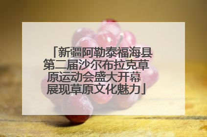 新疆阿勒泰福海县第二届沙尔布拉克草原运动会盛大开幕 展现草原文化魅力