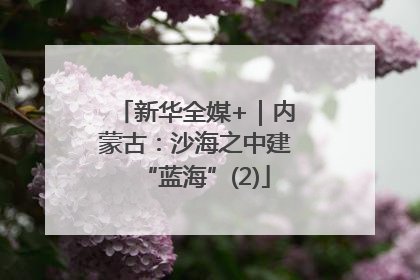 新华全媒+｜内蒙古：沙海之中建“蓝海”(2)