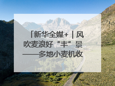 新华全媒+｜风吹麦浪好“丰”景——多地小麦机收一线见闻
