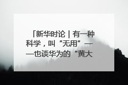 新华时论｜有一种科学，叫“无用”——也谈华为的“黄大年茶思屋”