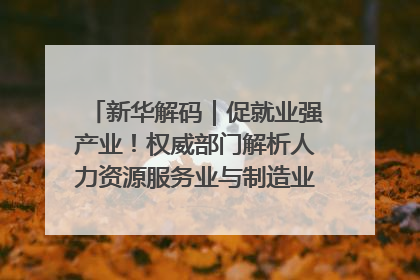 新华解码｜促就业强产业！权威部门解析人力资源服务业与制造业融合发展试点