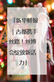 新华鲜报｜古都携手丝路！丝博会绽放新活力