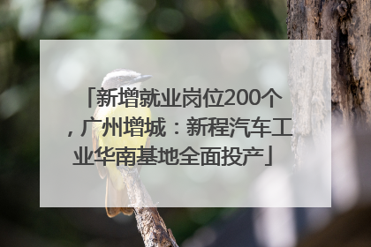 新增就业岗位200个，广州增城：新程汽车工业华南基地全面投产