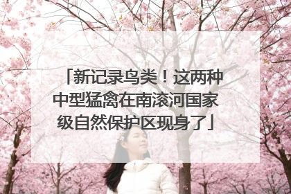 新记录鸟类！这两种中型猛禽在南滚河国家级自然保护区现身了