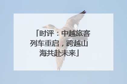 时评：中越旅客列车重启，跨越山海共赴未来