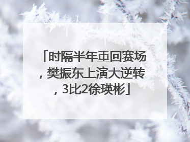 时隔半年重回赛场，樊振东上演大逆转，3比2徐瑛彬