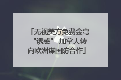 无视美方免费金穹“诱惑” 加拿大转向欧洲谋国防合作