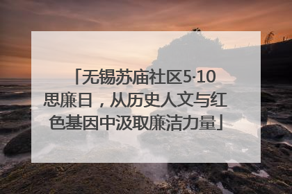 无锡苏庙社区5·10思廉日，从历史人文与红色基因中汲取廉洁力量
