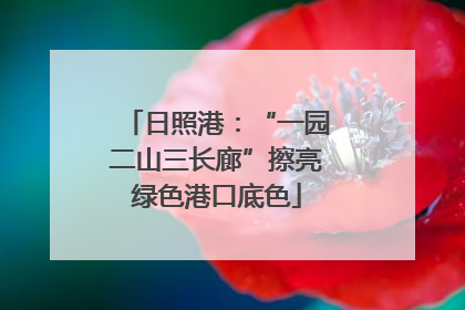 日照港：“一园二山三长廊”擦亮绿色港口底色