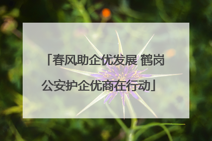 春风助企优发展 鹤岗公安护企优商在行动