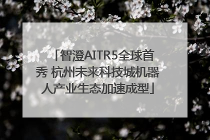 智澄AITR5全球首秀 杭州未来科技城机器人产业生态加速成型
