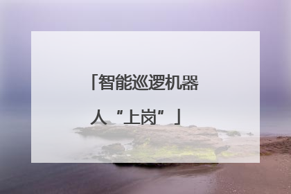 智能巡逻机器人“上岗”