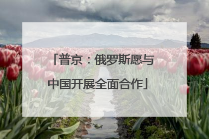 普京：俄罗斯愿与中国开展全面合作