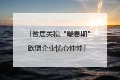 暂居关税“喘息期” 欧盟企业忧心忡忡