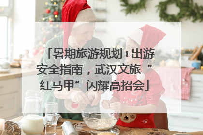 暑期旅游规划+出游安全指南，武汉文旅“红马甲”闪耀高招会