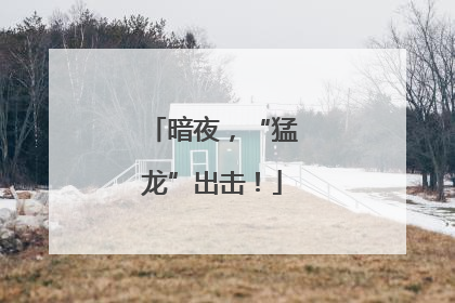 暗夜，“猛龙”出击！