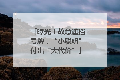 曝光！故意遮挡号牌，“小聪明”付出“大代价”