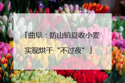 曲阜：防山镇夏收小麦实现烘干“不过夜”