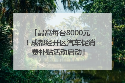 最高每台8000元！成都经开区汽车促消费补贴活动启动