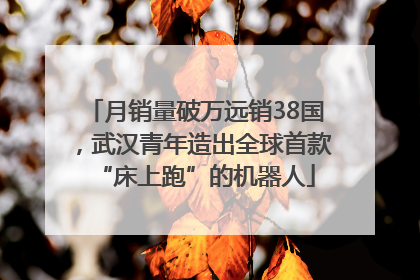 月销量破万远销38国，武汉青年造出全球首款“床上跑”的机器人