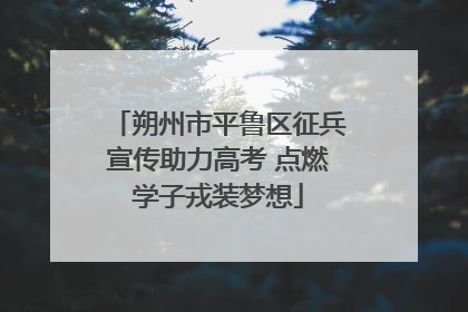朔州市平鲁区征兵宣传助力高考 点燃学子戎装梦想